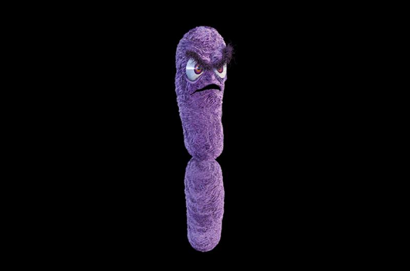 Klebsiella pneumoniae